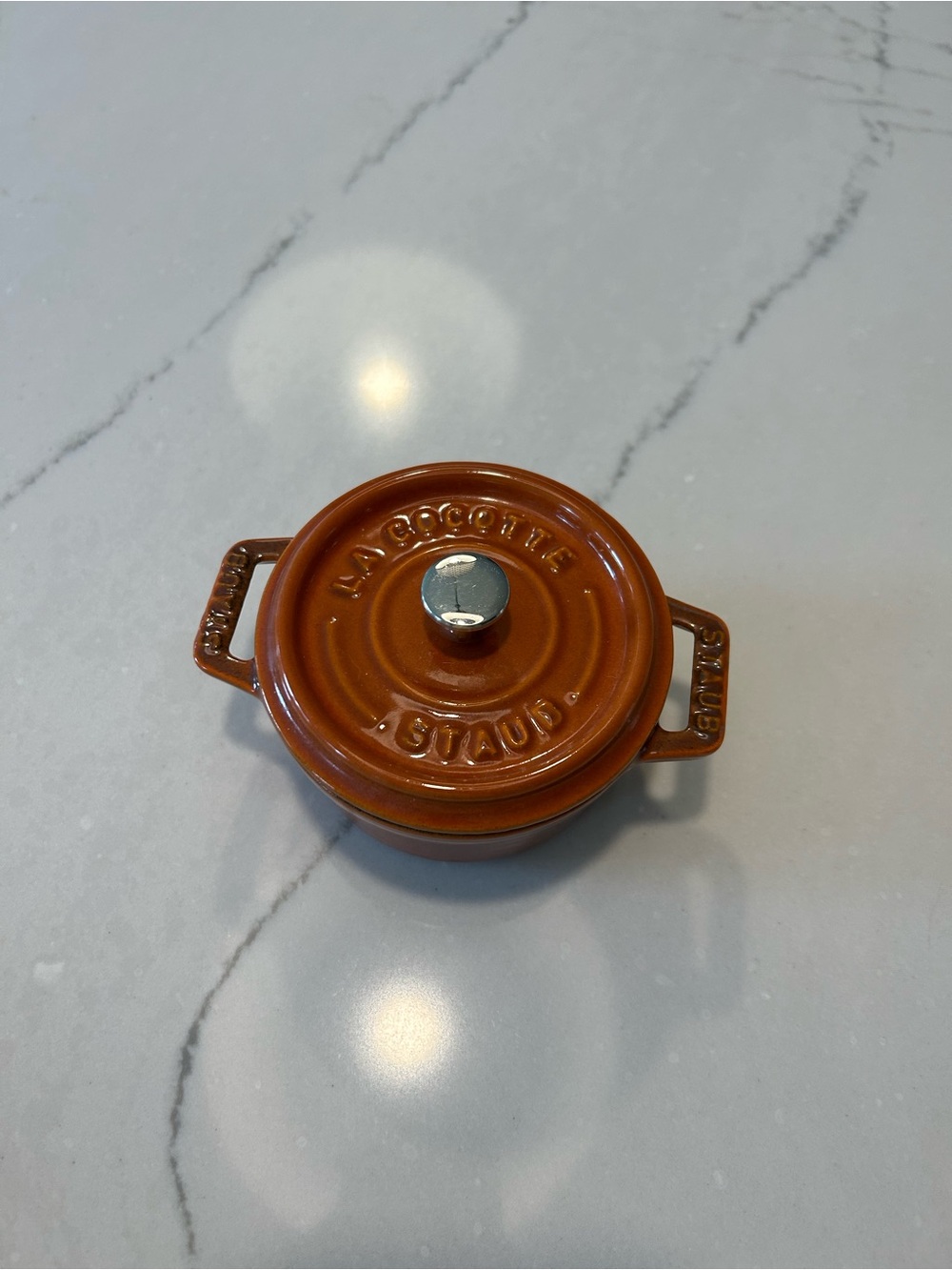 Staub Cocotte 10